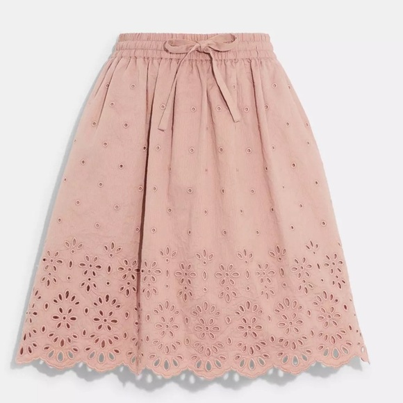 COACH Broderie Anglaise Mini Skirt In Organic Cotton Size 0 - Picture 1 of 13
